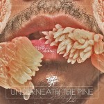 new favorite album // Toro y Moi : Underneath the Pine